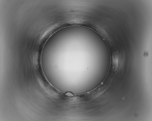 X0000111780396200907301126