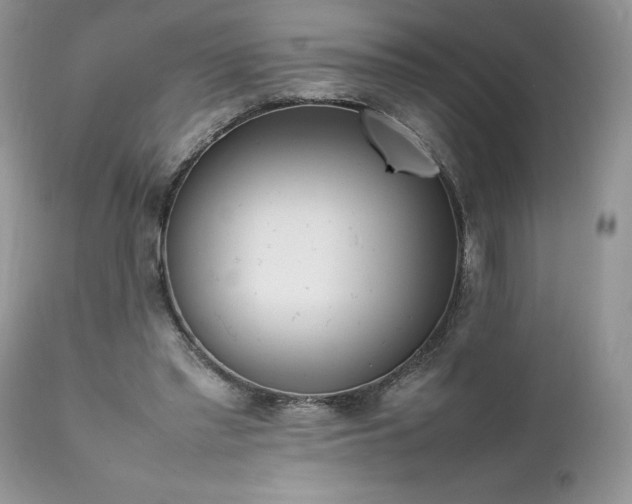 X0000111780397200907301126