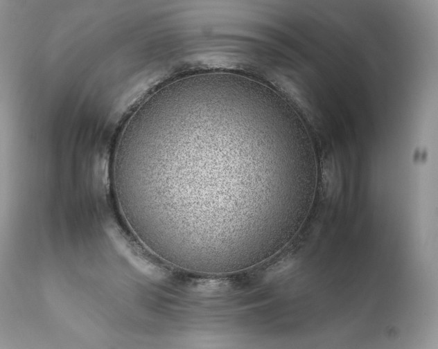 X0000111780398200907301126