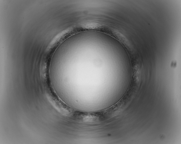 X0000111780400200907301126