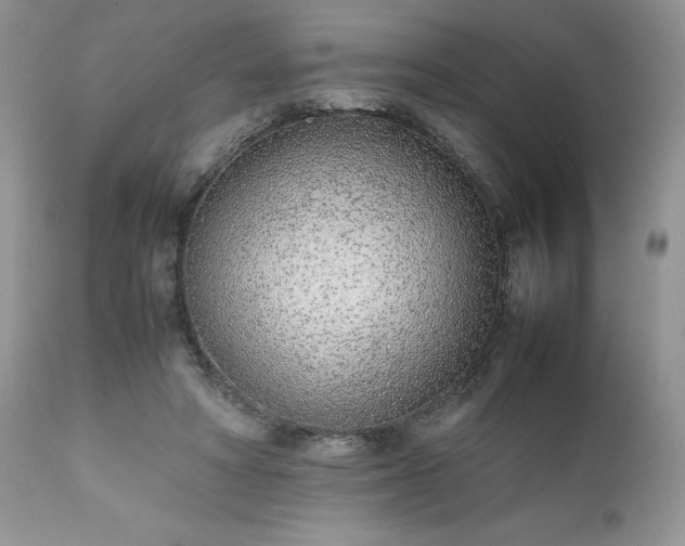 X0000111780402200907301126