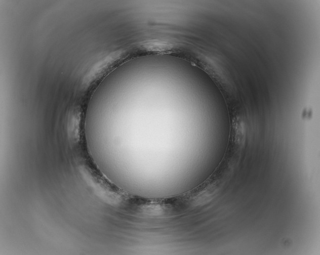 X0000111780404200907301126