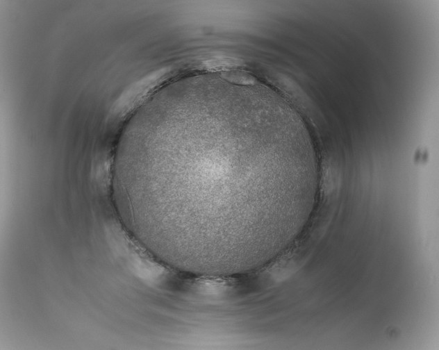 X0000111780405200907301126