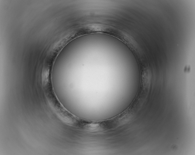 X0000111780406200907301126