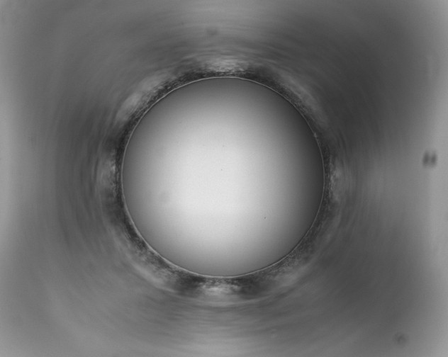 X0000111780407200907301126