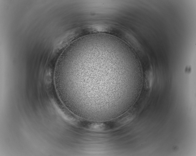X0000111780410200907301126