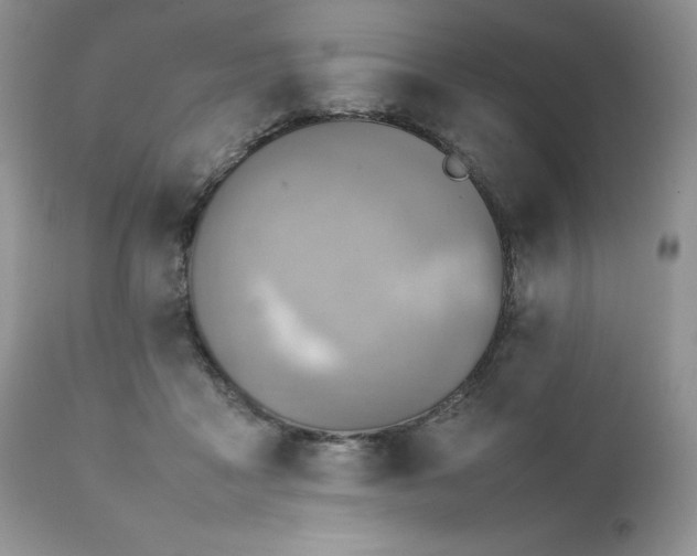 X0000111780411200907301126