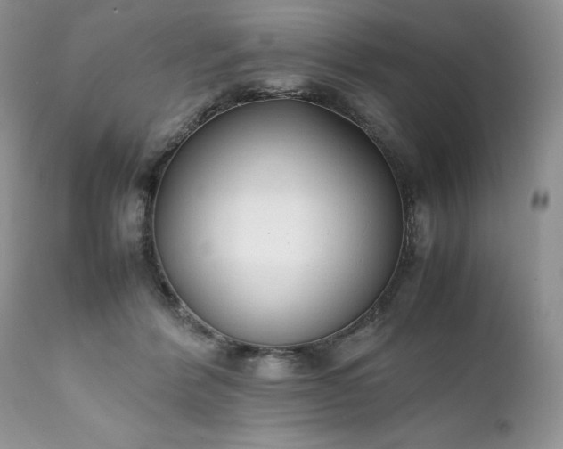 X0000111780412200907301126