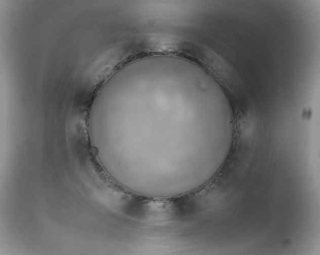 X0000111780415200907301126