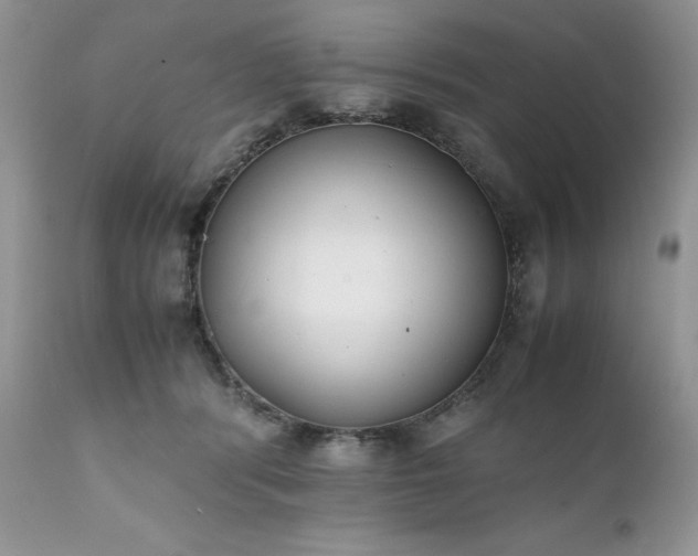 X0000111780416200907301126