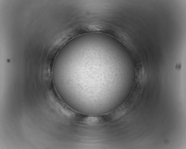 X0000111780418200907301126
