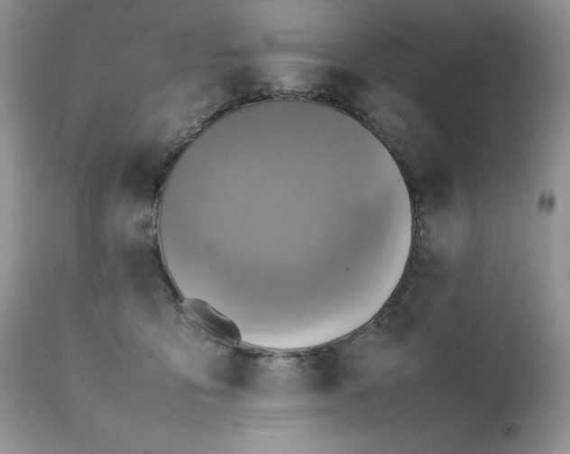 X0000111780419200907301126