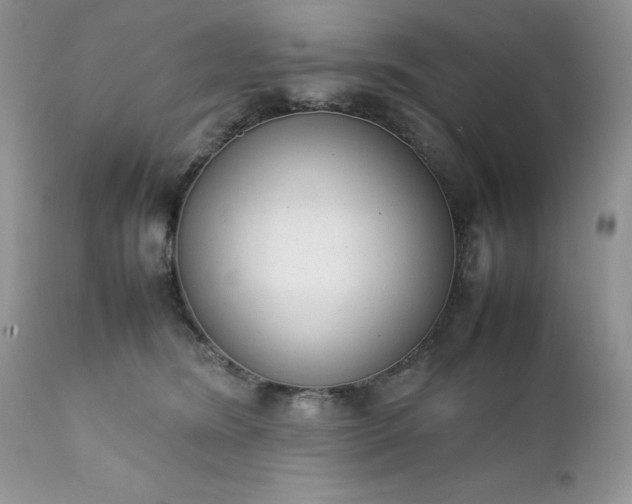 X0000111780420200907301126