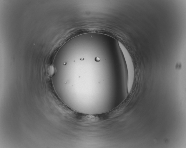 X0000111780421200907301126