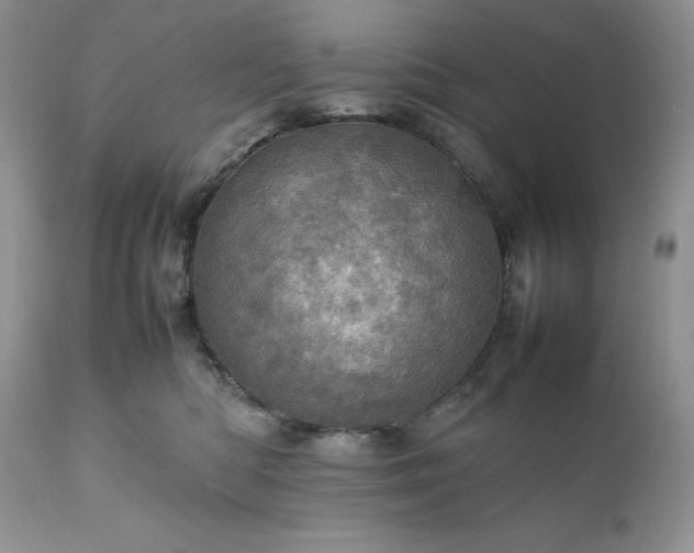 X0000111780422200907301126