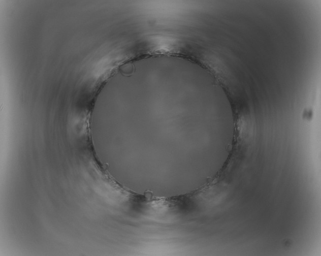 X0000111780423200907301126