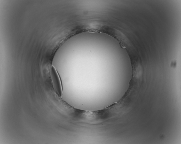 X0000111780425200907301126