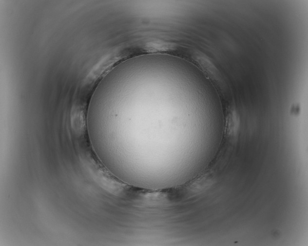 X0000111780426200907301126
