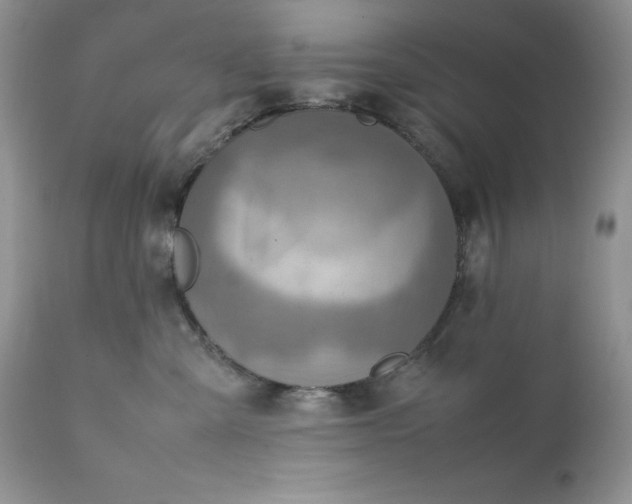 X0000111780427200907301126