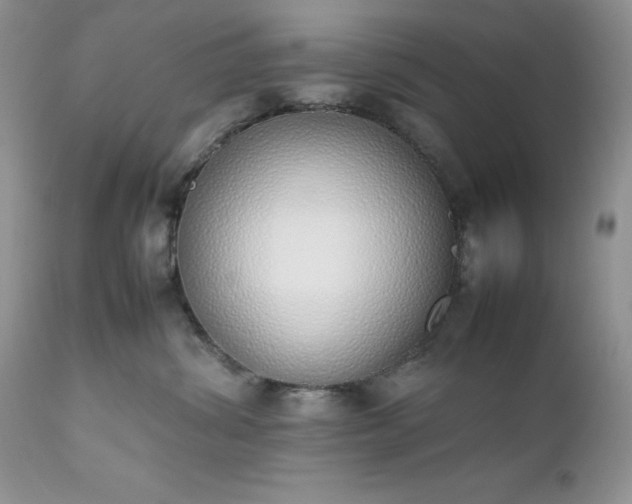 X0000111780428200907301126