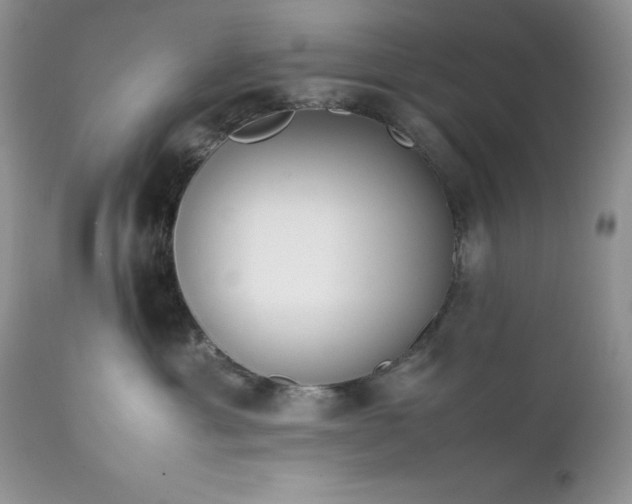 X0000111780429200907301126