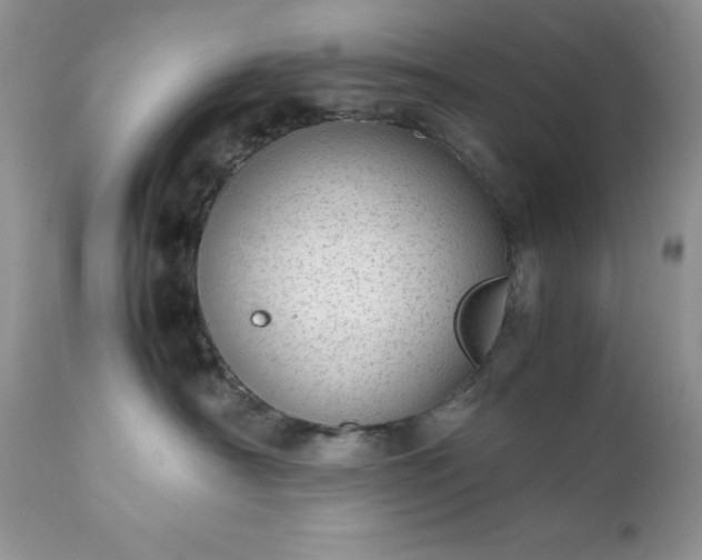 X0000111780430200907301126