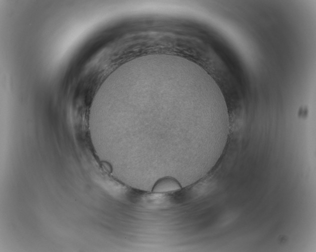 X0000111780431200907301126