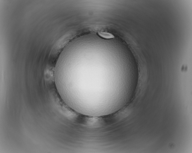 X0000111780432200907301126