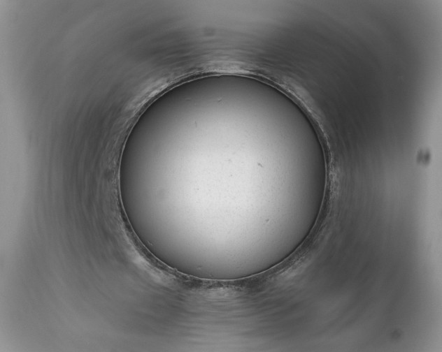 X0000111780433200907301125