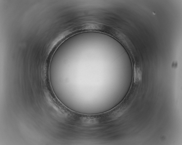 X0000111780435200907301125