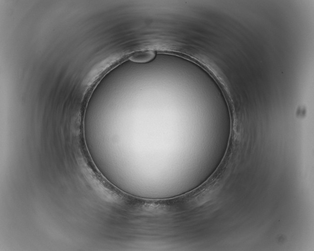 X0000111780437200907301125