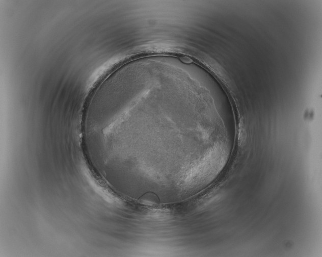 X0000111780438200907301125