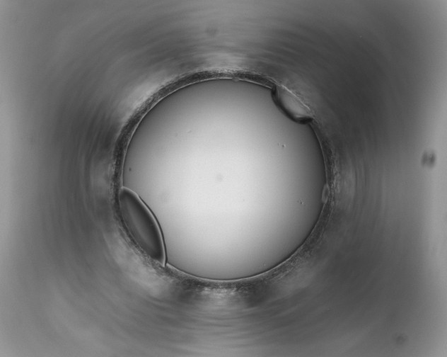 X0000111780440200907301125