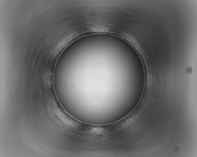 X0000111780441200907301125