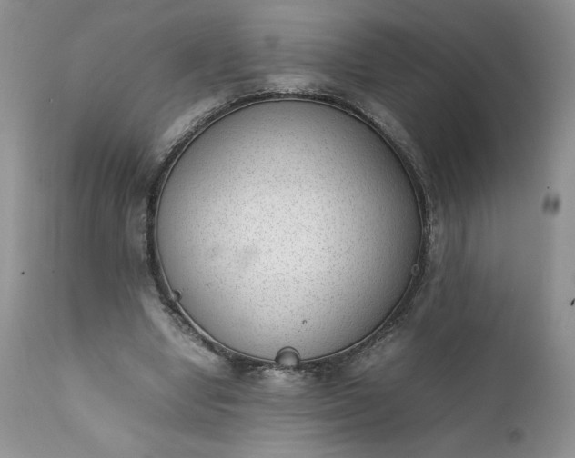 X0000111780442200907301125