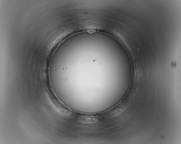 X0000111780443200907301125
