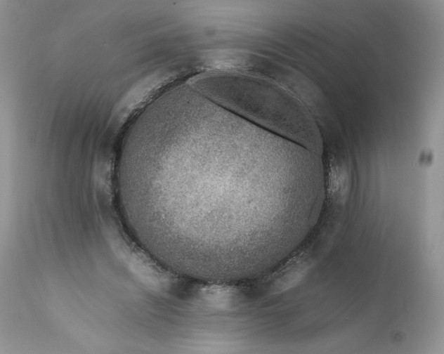 X0000111780444200907301125