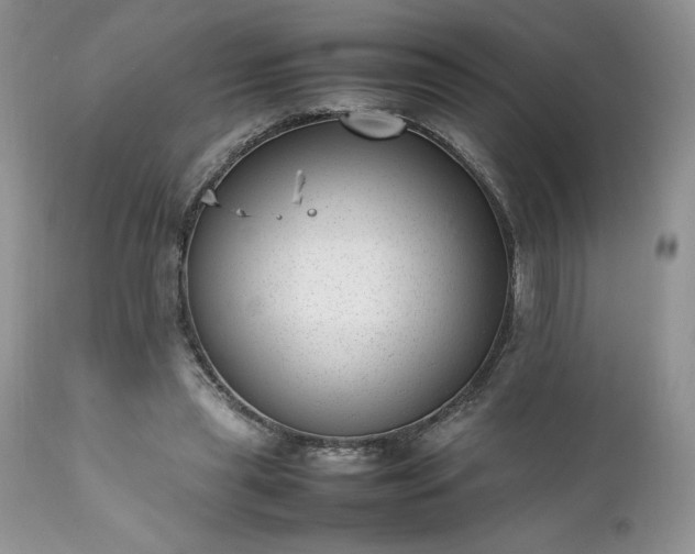X0000111780445200907301125