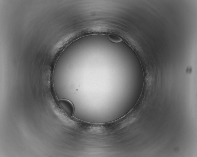 X0000111780446200907301125