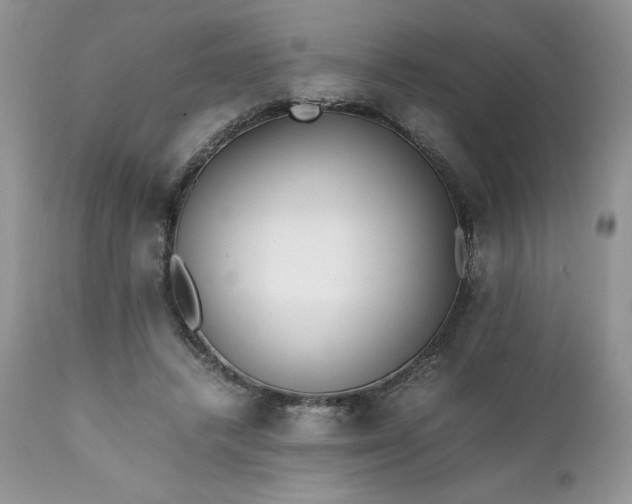 X0000111780448200907301125