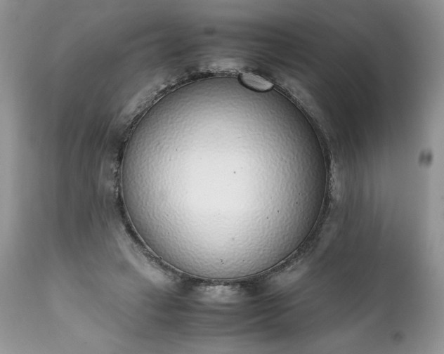 X0000111780449200907301125