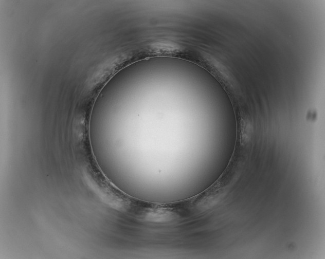 X0000111780451200907301125