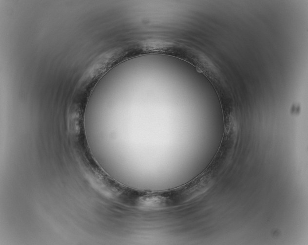 X0000111780452200907301125