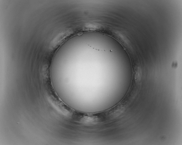 X0000111780455200907301125