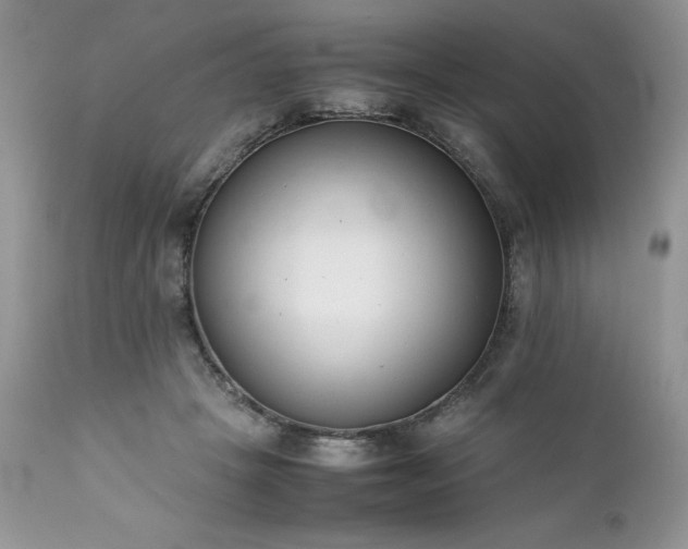 X0000111780457200907301125