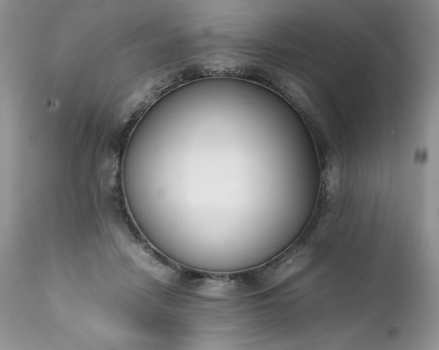 X0000111780458200907301125