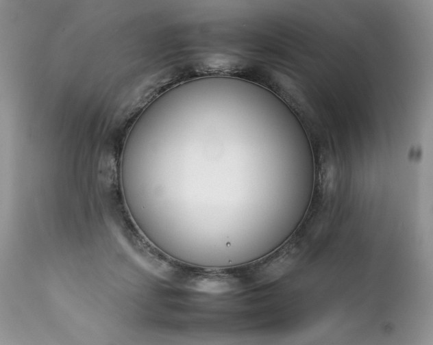 X0000111780459200907301125