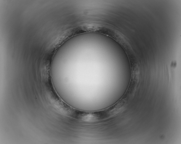 X0000111780460200907301125
