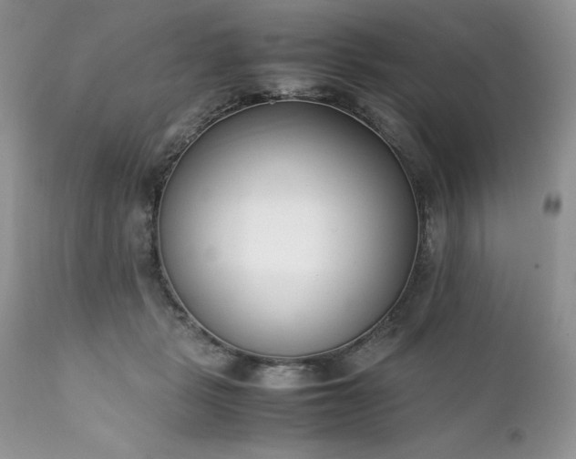 X0000111780461200907301125