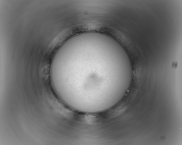 X0000111780462200907301125